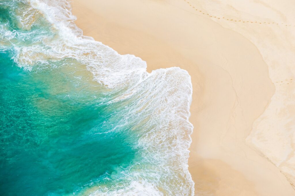 Why Companies Are Turning to Interim Sustainability Managers